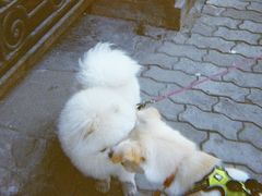 -柯达真美(老重庆中路店)