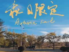 -熙古里艺术村