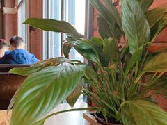 -SMOKI & CO(五大道店)