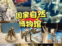 -国家自然博物馆