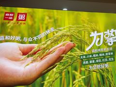 -嘉和一品粥(魏公村店)