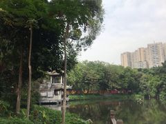 -沙湾姜埋奶(兴新包店)