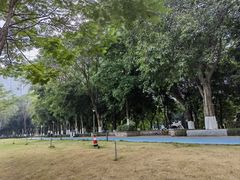 -怡海公园(桂城街道)