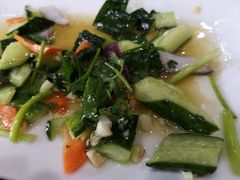 拍黄瓜-蒙星月涮肚火锅城(宏运家园店)