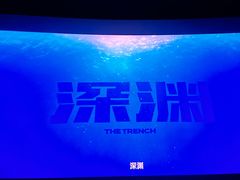 -卢米埃IMAX影城(温州万象城激光店)