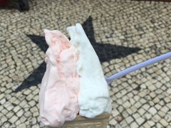-柠檬车露(卖草地店)