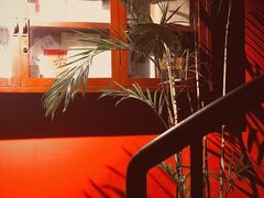 -凡人&庄阿姨的辣(万寿亭店)