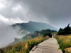 -白草畔自然风景区