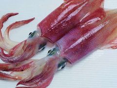 鱿鱼-全盛海鲜烤肉自助(新玛特店)