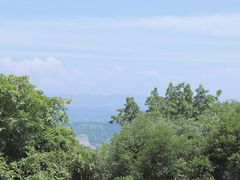 -南山植物园