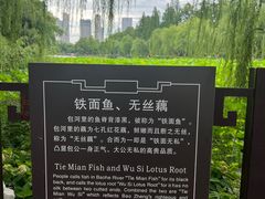 -包公祠
