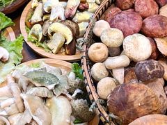 -滇野云南野生菌餐厅(陕西南路店)