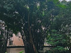 -成都杜甫草堂博物馆