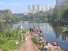 -重庆彩云湖湿地公园