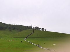 -关山草原
