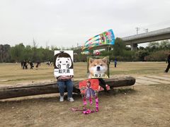 -秀丽东方