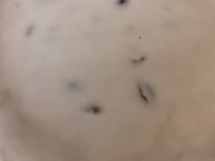 -仁信双皮奶(庙前直街店)