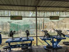 -合肥滨湖国家森林公园