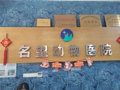 -瑞派名望志远动物医院·猫科·內科·异宠专科(直港大道店)