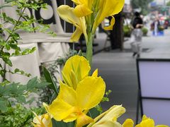 -CHARLIETOWN红茶公司(南京万象天地店)