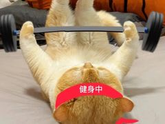 -新雅(丰盛里店)