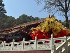 景点-青岩寺风景区