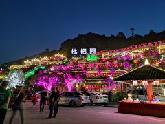 -枇杷园食为鲜火锅(南山店)