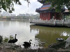 -珠海圆明新园