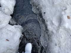 -峡谷浮石林景区