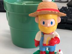 -麦当劳(农光里店)