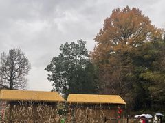 -塔川景区