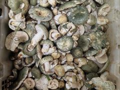 -双喜农庄·菌香园(安居家园店)