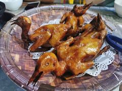 -石岐乳鸽村(南海第三分店)