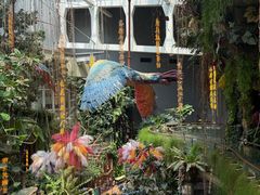 -正佳雨林生态植物园