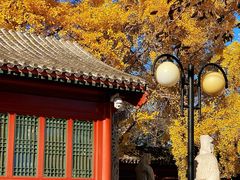 -北京石刻艺术博物馆(五塔寺)