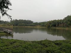 -福建鲤鱼洲酒店