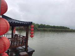 -长兴太湖图影湿地文化园