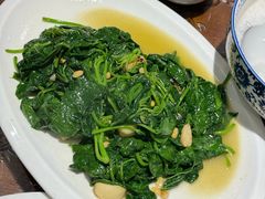 番薯苗-长平肥姐白粥·海鲜打冷