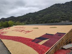 -新安江山水画廊风景区