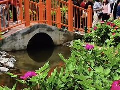 -太阳宫公园