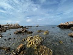 -养马岛旅游度假区