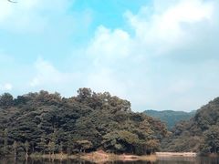 -广州市石门国家森林公园