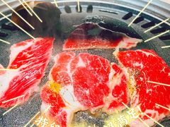 -猫爪爪原切自助烤肉(观音桥阳光世纪店)