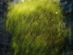 -香港会议展览中心演讲厅