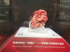 -湖南省地质博物馆