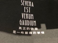 -黑胶星球(华发中城商都店)