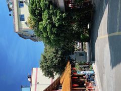 -竹庄餐馆·26年店(南昆山景区店)