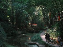 -凤栖山