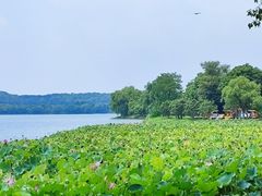 -石湖景区