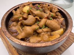 -芙蓉凰花园酒楼